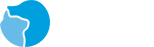 2025世俱杯官网